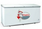 Tủ đông Kingsun KS-BD/C-1650